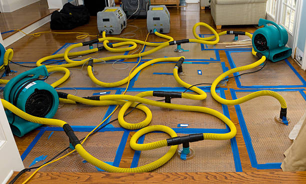 Professional Water Damage Repair technician working in Leeds, ME